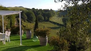 Taste Organic Marche Wines with Local Pairings