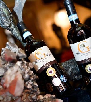 Visites et dégustations à la Cantina il Passo