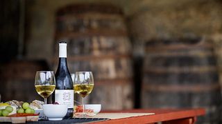 Terroir - Degustação Privada de Vinhos