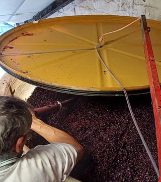 Domaine Blouin