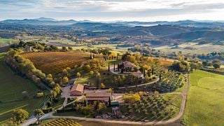 Marche Wine & Vineyard Discovery at Tenuta di Tavignano