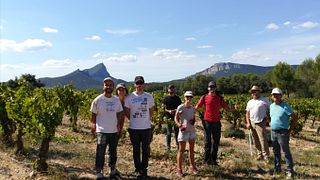 Languedoc-Roussillon Organic Wine Legacy Tasting
