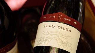 Visita guiada e prova de vinhos de talha na Adega José De Sousa