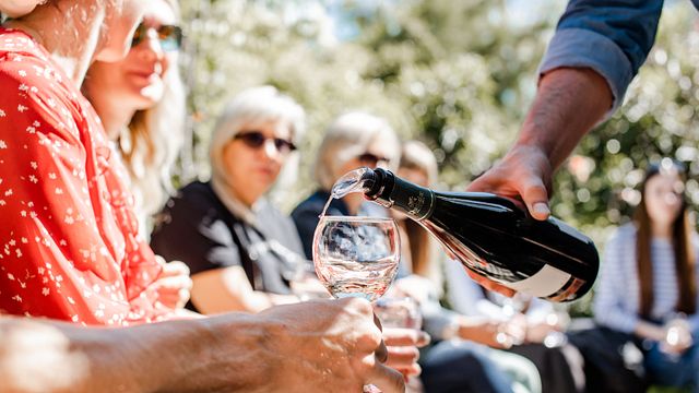 Degusta 7 vini georgiani, tra cui selezioni di qvevri, presso un'azienda vinicola a conduzione familiare a Kakheti