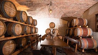 Azienda Agricola Villa Barberino: A Tuscan Gem
