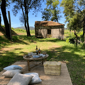 Noche de alojamiento en Terra Rosa Country House and Vineyards 