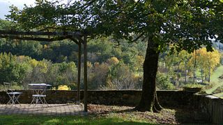 Degustación y visita de vinos aromáticos orgánicos en Domaine de Grimardy