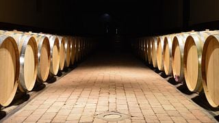 Dégustation de vins et visite au Castello del Terriccio