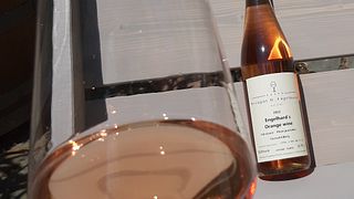 Degustazione di vini avventurosi presso Weingut H.Engelhard