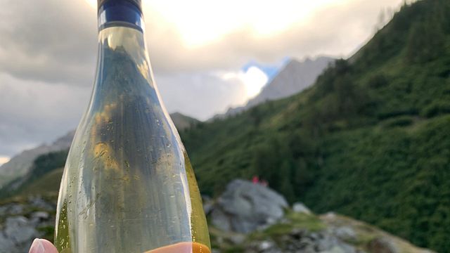 Weinprobe und Führung im Domaine Albert Seltz