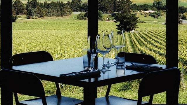 Grape Vine Tour