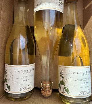 Wine Tasting, Cooking Class and Lunch at I Ciacca