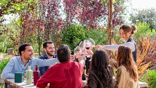 Passeio guiado com degustação de vinhos