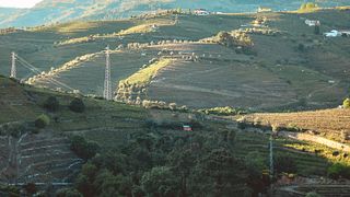 Tour dei vigneti e degustazione di vino Porto presso Quinta da Pousada - Casa de Campo