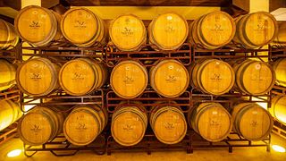 Degustazione e tour di vini rossi a Santa Vitória