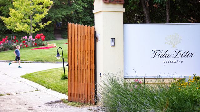 Degustação de Vinhos em Vida Péter, Szekszárd