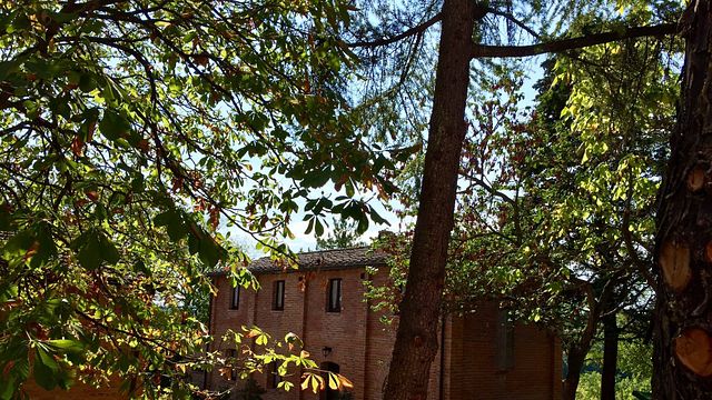 Wine Tasting and Tour at Azienda Agraria San Gregorio