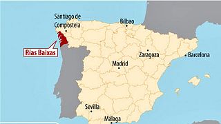 Expérience viticole Albarino. Rías Baixas