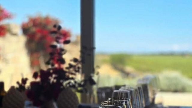 Explorador de Vinhos