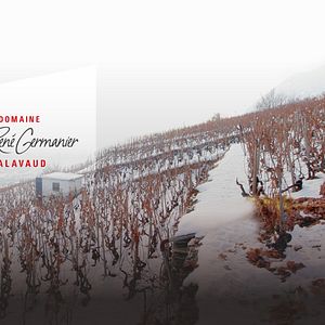 Jean-René Germanier - Wine Tasting Tour in Valais | Winetourism.com