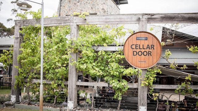 Weingutbesichtigung und Weinprobe im Weingut Sirromet