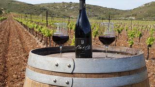 Degustação de vinhos e passeio no Clos d'Elle