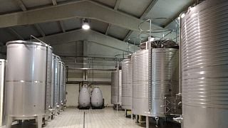 Weinprobe und Tour in der Bodega Ozalder