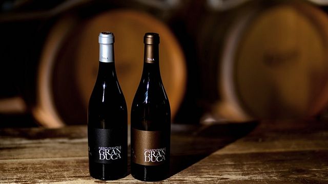 Weinprobe und Tour in der Azienda Vitivinicola Tola