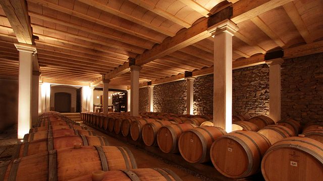 Degustazione di vini biologici e visita in cantina