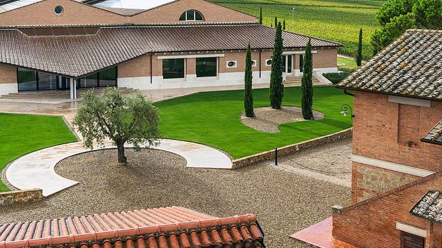 Dégustation de vins et visite à Carpineto