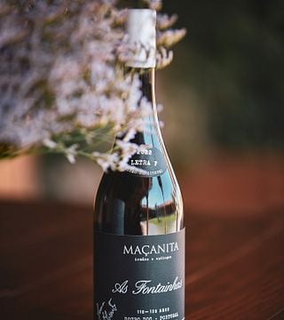 Mergulhe na nossa Família na Maçanita Vinhos