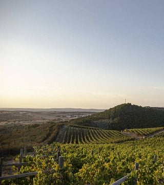Degustazione di vini dell'Alentejo presso Howard's Folly