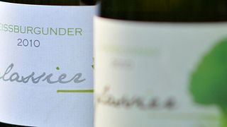Degustação de vinhos e tour em Glassierhof
