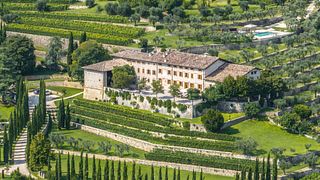 Njut av Ugolini Wine Tasting Live Experience