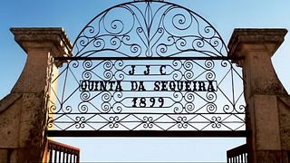 Dégustation de vins et visite à Quinta Da Sequeira