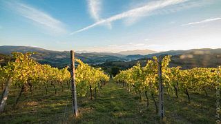 Vinprovning med lokala delikatesser på Tenuta Ca' Sciampagne