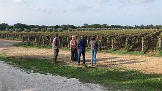 Excursão exclusiva ao Val d'Orcia saindo de Florença - Um universo cinematográfico para os amantes do vinho.