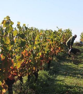 Domaine des Sangliers
