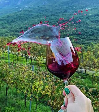 Degustazione di vini presso la cantina Lipovac