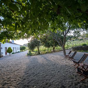 Morgadio da Calçada Douro Wine & Hotel