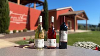 Selection Wine Tasting at Tenuta di Vaira