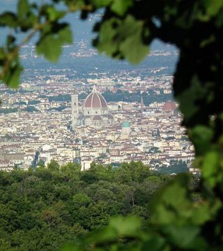 Wine tasting and tour at Fattoria Le Sorgenti