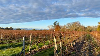 Weinprobe im Château L'Eperon