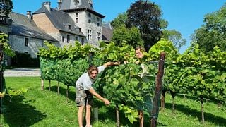 Chateau De Bioul