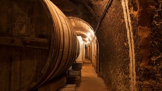 Bodegas De Alberto: A Legacy of Fine Wines