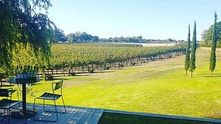 Cata de vinos Black Top populares en Hewitson