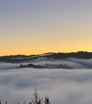 Dégustation de vins au sommet de la colline d'Abellonio Roberto - Cascina Piccaluga