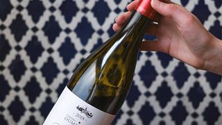 Weinprobe und Tour im Chateau Oumsiyat