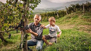 Weinprobe und Besichtigung bei Vina Poljšak