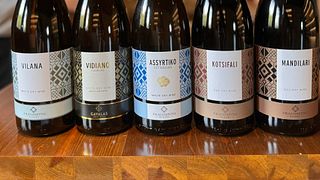 Tour delle varietà autoctone presso l'azienda vinicola Fragospito